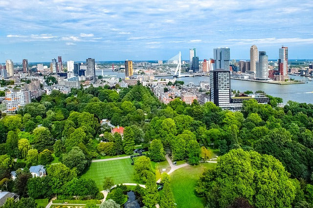 Zur Tulpenblüte nach Holland 23.04. - 26.04.26