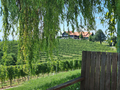 Frühling in der slowenischen Steiermark - Therme Dobrna 18.05. - 23.05.27