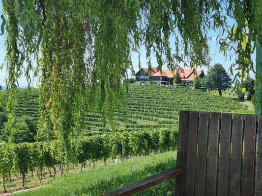 Frühling in der slowenischen Steiermark - Therme Dobrna 18.05. - 23.05.27