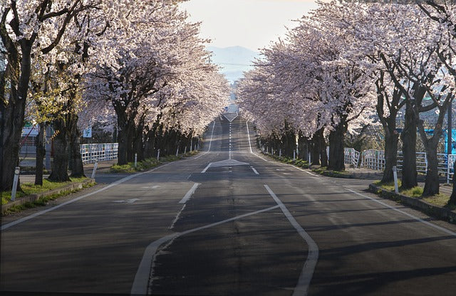 Highlight: Flugreise Japan 01.04. - 13.04.26
