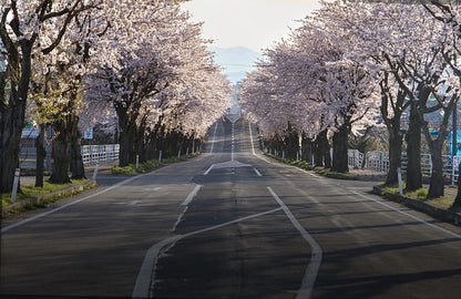 Highlight: Flugreise Japan 01.04. - 13.04.26
