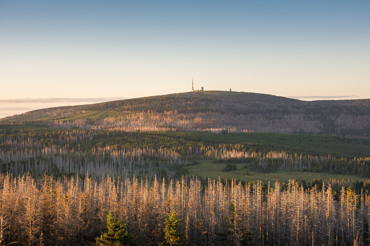 Der Harz ist immer eine Reise wert 30.10.24