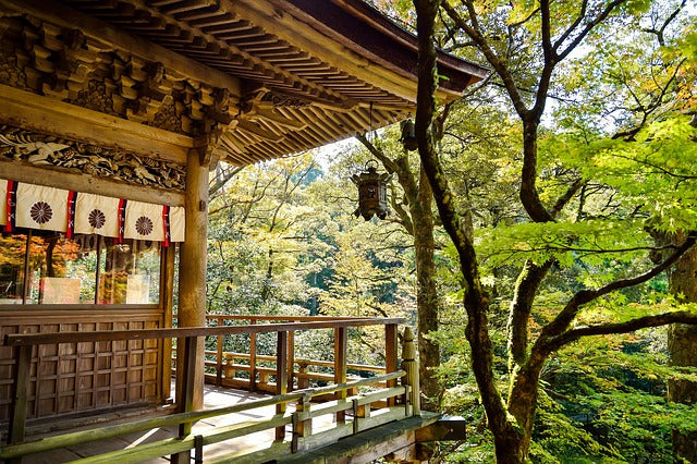 Highlight: Flugreise Japan 01.04. - 13.04.26