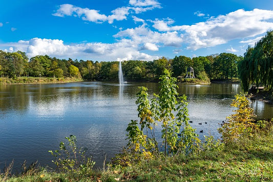 Magdeburger Elbauenpark 30.04.26